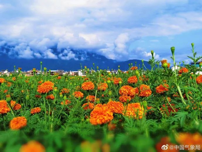 梦在花间心难静，长空万里觅无踪。诗情一点花恋叶，香漫画堂醉春风。